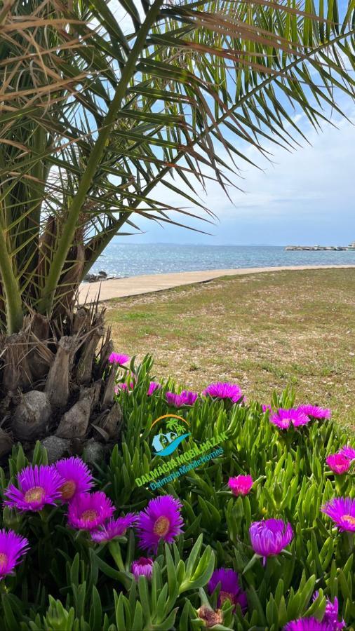 Lakokocsik A Tengerparton - Caravans At The Sandy Beach Privlaka  Exterior foto
